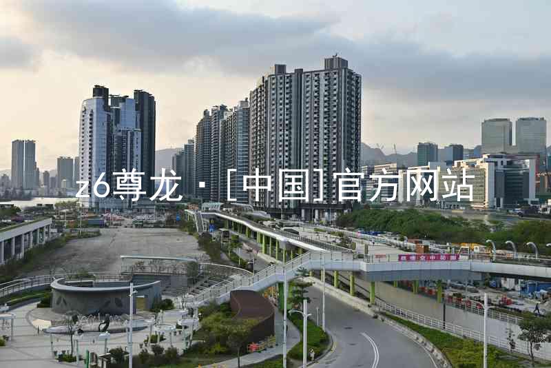 z6尊龙·[中国]官方网站